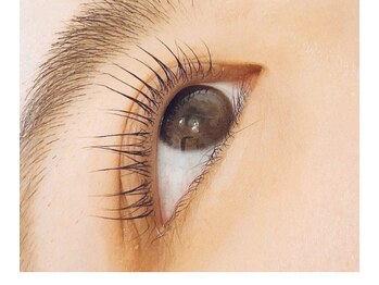 トム トム/まつげパーマ