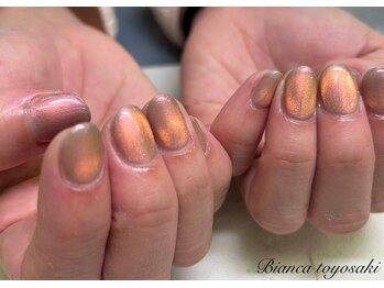 ビアンカ 豊崎店(BIANCA)/マグネットネイル¥8800