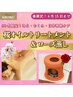 【春限定】肩こり・冷え・不調に◎桜オイル+ローズ蒸し120分 ¥11,500