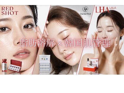 白美の写真