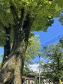 サロンドクレシア(salon'de CRECIA)&nbsp;休みの日は朝から息子と蝉を探したりして遊んでいます♪笑
