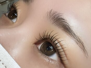 ダコード(D'accord)