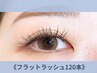 【次回予約でお得♪】フラットマットラッシュ120本