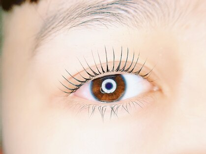 リセ アイラッシュ(Rise eyelash)の写真