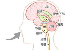 フェリス.ディア(Feliz.Dia)/【鼻ケア】