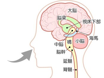 フェリス.ディア(Feliz.Dia)/【鼻ケア】