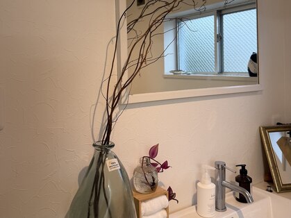 ロジ(loji)の写真