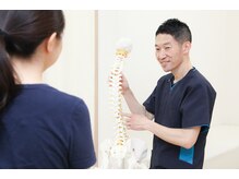 すぎもと接骨院/模型で分かりやすく説明します