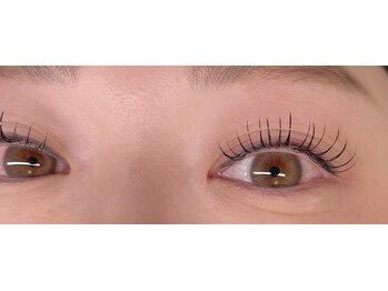 イル(ile)/フラットラッシュ120本