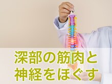あゆむ整体院の雰囲気（解剖学の知識をベースに、より深部の筋肉と神経へアプローチ。）