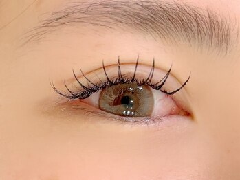 レア(Lea)/フラットラッシュ120本