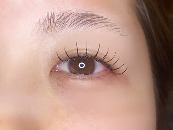 エルレ(ELRe)/LEDフラットラッシュ120本