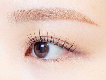 タアチ ドゥーエ(taachi due)/まつげパーマ+眉ワックス