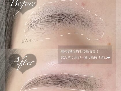 ホワイトカメリア(White Camellia)の写真
