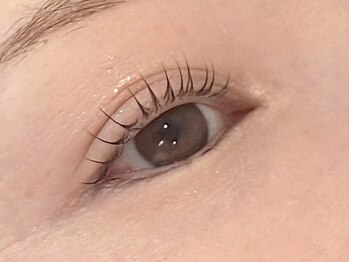 ビジョルノ つくばみどりの店(Begiorno)/まつ毛パーマ