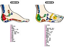 フロートリート ビフォ(FlowTreat Bifo)/反射区図