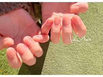 クレー(Klee)/美ワンカラー