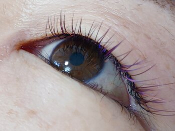 サイ(Sai)/カラエク／150本