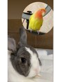 サロン ドゥ レーベル(Salon de Label)&nbsp;うさぎとインコをこよなく愛してます