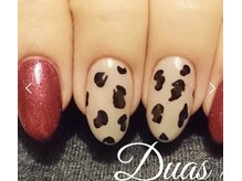 デュアスアール チャンドラ(DuasR chandra)/