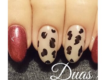 デュアスアール チャンドラ(DuasR chandra)/