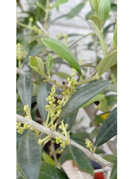 ヨウジョウ庵 船橋塚田(yojo庵)/エントランスを彩る仲間たち