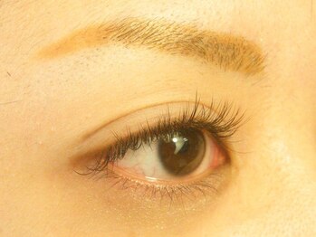 アンジェリーク 八王子店/ゴージャスeye☆付け放題60分