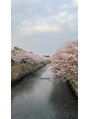 ヴィライズ 船橋(VIRISE)&nbsp;最近1人散歩にハマっています♪海老川の桜とてもキレイでした！