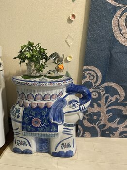 ジャスミン(Jasmine)/