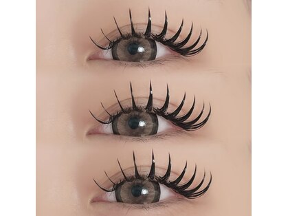 フランク(f)の写真