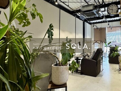 ソラ(SOLA.)の写真