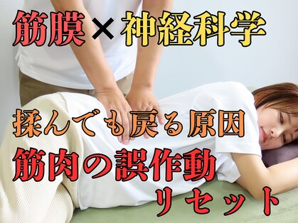 ニシノ スタイル カイロアンドパーソナルトレーニング(NISHINO STYLE)の写真