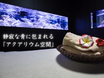 ユウウミ 北谷店(You海)の写真