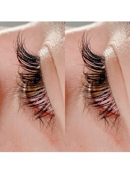 シルフ 西宮店(Sylph)/西宮/まつエク/まつ毛パーマ