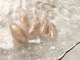 トゥーシェネイルズ 上中野店(Touche’nails)の写真
