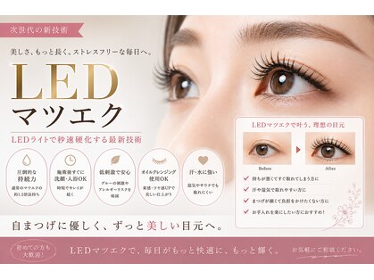 ニコ リノ(nico*lino)の写真