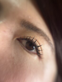 リュミエール(lash&brow lumiere)/マツエク　フラットラッシュ