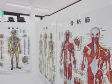 ワイズ整体(Y's整体)/