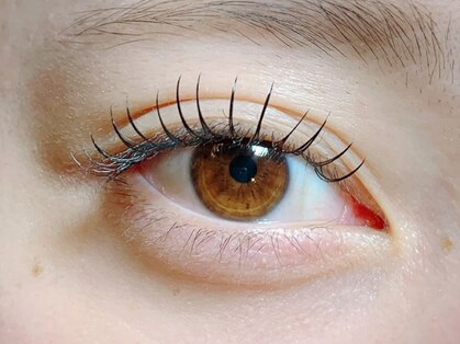 ヴィクトワール(Victoire)の写真
