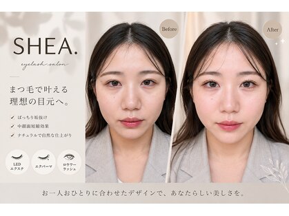 シア(SHEA.)の写真