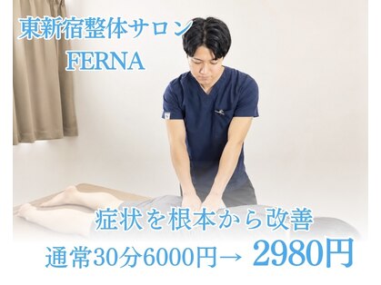 フェルナ 東新宿(FERNA)の写真
