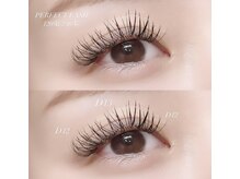 フーフロー(Fooflow)/PERFECT LASH 120束(240本)