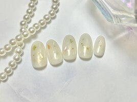 定額Design シェル