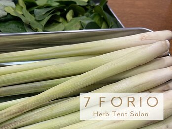 セブンフォリオ(7FORIO)/気まぐれハーブ