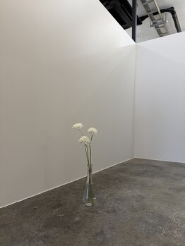 ダフネ(DAFNE)/2026年春 リニューアルオープン