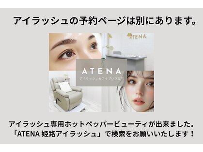 アテナ(ATENA)の写真