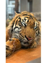 チタ バイアール(CITA by.R)&nbsp;大沢 千尋