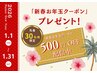 【新春お年玉クーポン】 お会計から500円引き♪クーポン価格からの値引きOK！