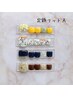 フット定額デザインA　￥8500