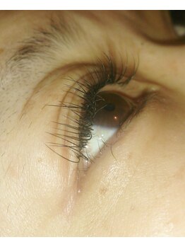 トータルビューティシイカ/まつ毛エクステ